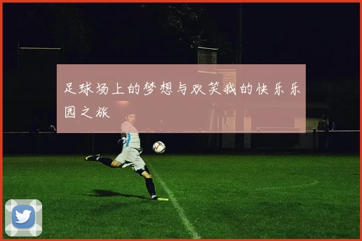 足球场上的梦想与欢笑我的快乐乐园之旅