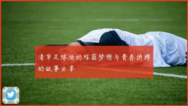 清华足球场的绿茵梦想与青春拼搏的故事分享