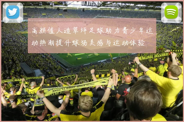 高颜值人造草坪足球助力青少年运动热潮提升球场美感与运动体验